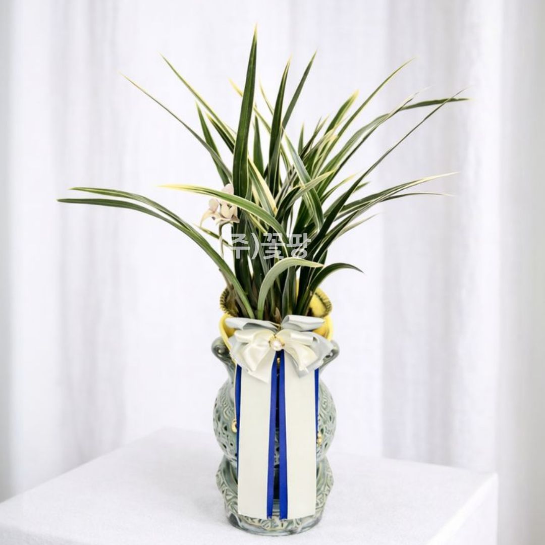 황룡금(투각분)