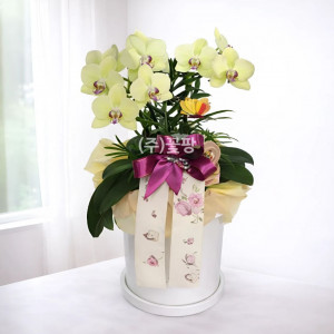 호접탁상용(노랑)