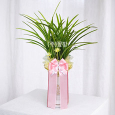 철골소심(일반분)